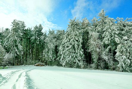 Frosty landscape snowy photo