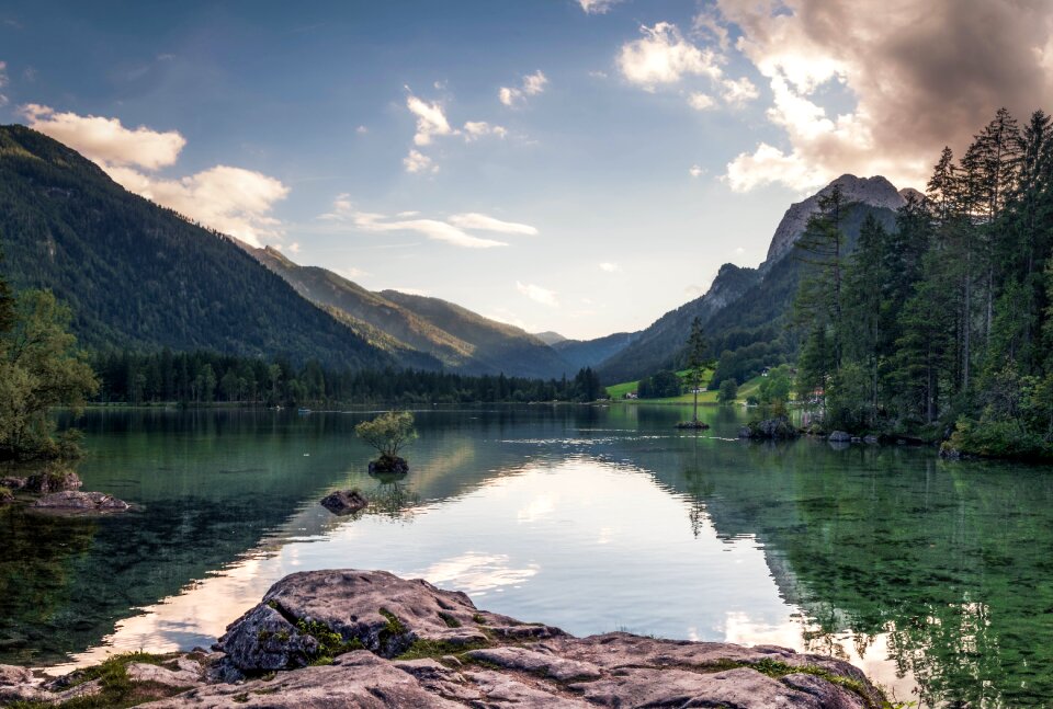 Green grass nature