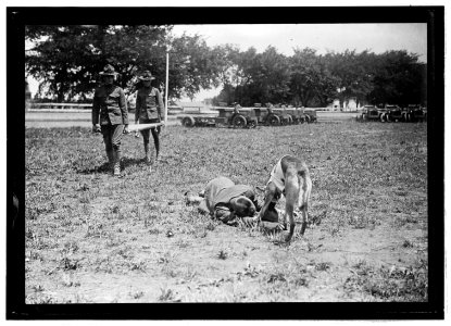Medical Corps, Allentown, Pa., July 1917 LCCN2016851053