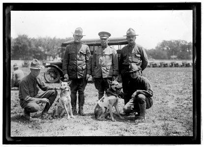 Medical Corps, Allentown, Pa., July 1917 LCCN2016851055