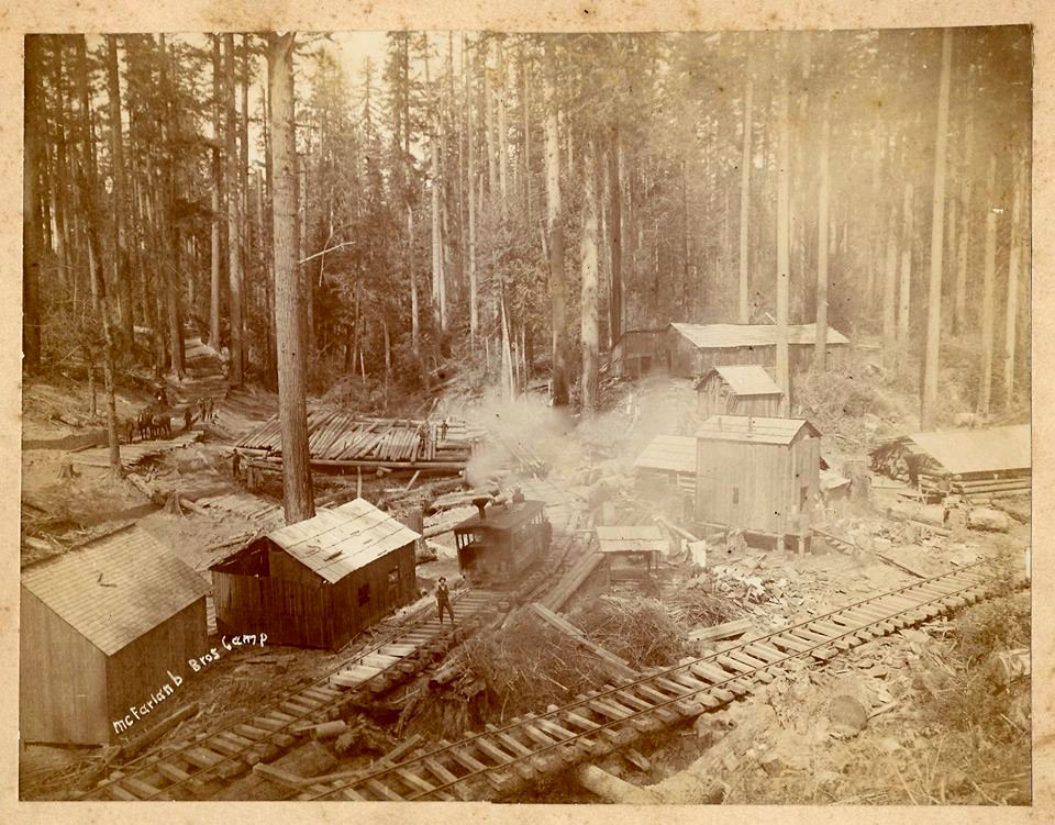 McFarlanb Bros Camp