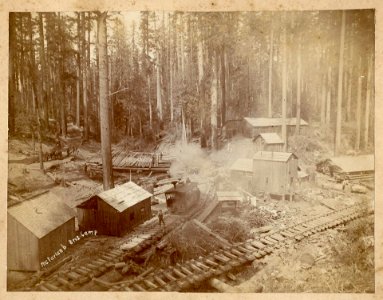 McFarlanb Bros Camp