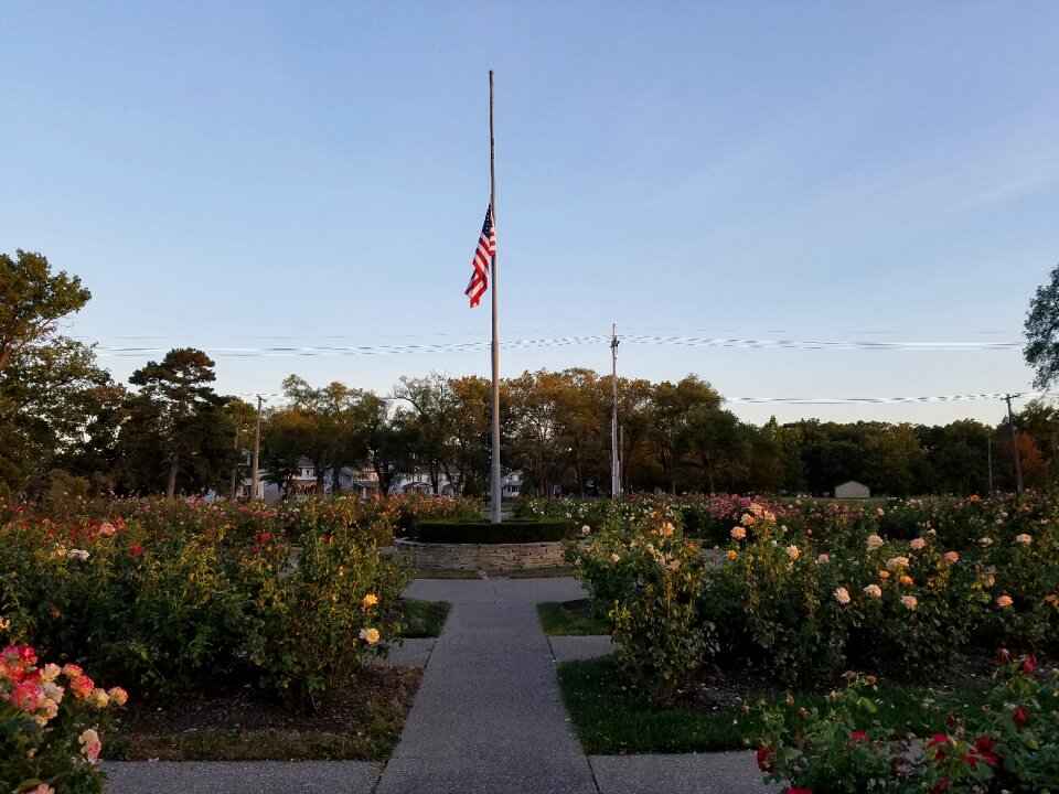 Rose garden flag