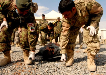 Medic course performs medevac training DVIDS374302