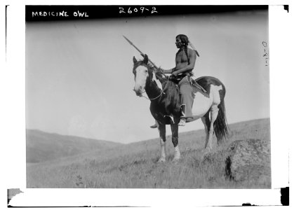 Medicine Owl (Indian on pony) LCCN2014692273