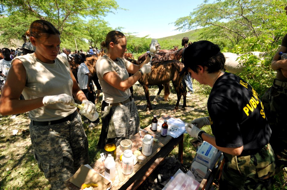 Medical, veterinary aid operations in Haiti DVIDS119080