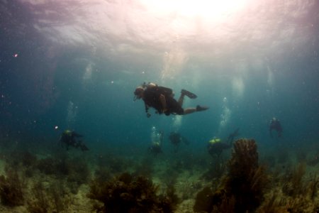 MDSU-2 conducts a training dive with Belizean Coast Guard divers. (14478896543)