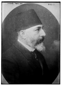 Mehmed Teofek Bey LCCN2014701247