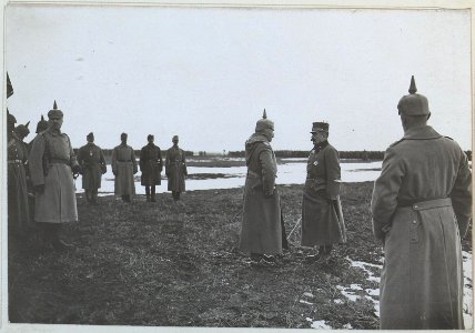 Meldung des vertretenden Divisionärs an Wilhelm II. (BildID 15438775)