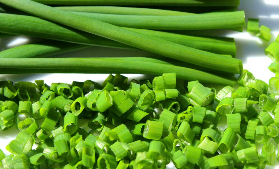 Plant eating green