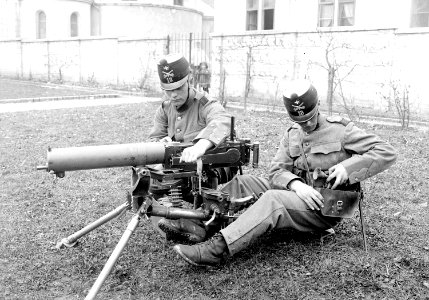 Munitionsgürtel und Zielfernrohr für das Maschinengewehr - CH-BAR - 3241139