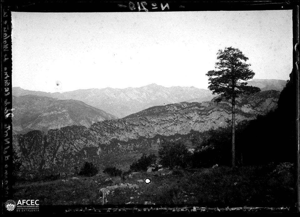 Muntanyes del Berguedà, vista des de Malanyeu cap al Nord (AFCEC VIDAL A 6105)