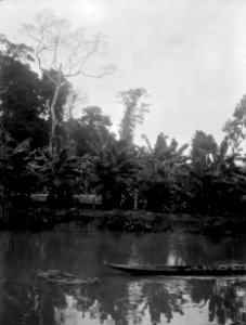 Medicinmannen Selimos bananodling. Rio Sambú, Darien, Panamá. Etnisk grupp, Emperá- Chocó - SMVK - 003968 photo