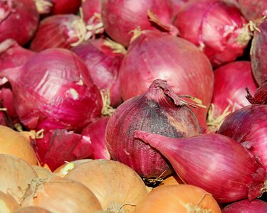 Sharp vegetables vitamins