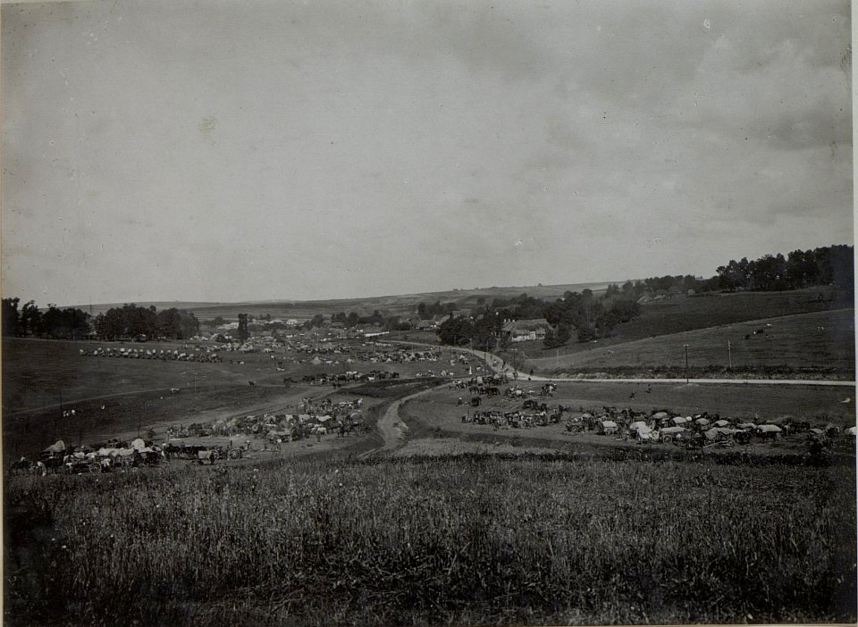 Munitions- und Trainkolonnen bei PANOWICE am 13.VIII.1916. (BildID 15451074)