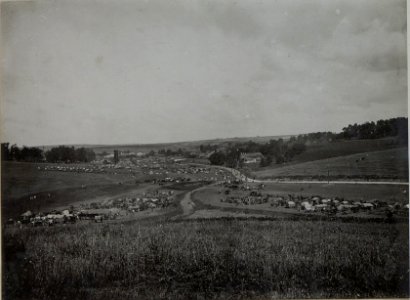 Munitions- und Trainkolonnen bei PANOWICE am 13.VIII.1916. (BildID 15451074)