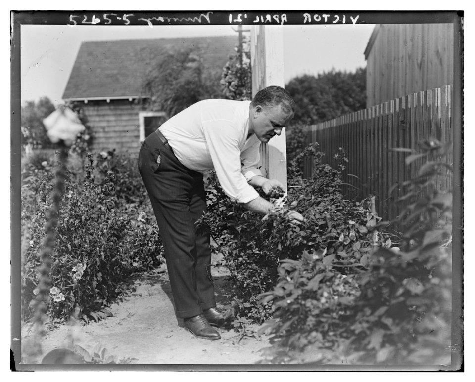 Murray LCCN2014711194