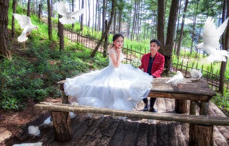 Bride groom vietnam