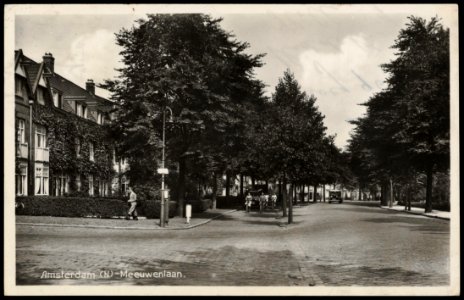 Meeuwenlaan met links hoek Havikslaan. Uitgave J. Sleding, Afb PRKBB00452000004