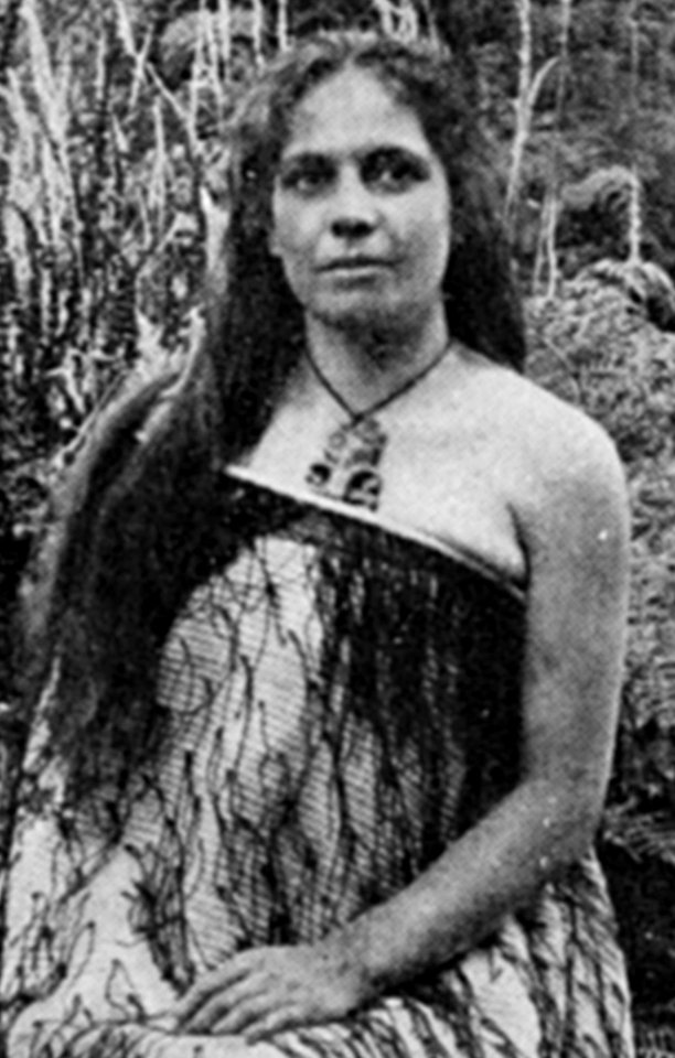 Megi Papakura 1901 Korensky-2 (cropped)