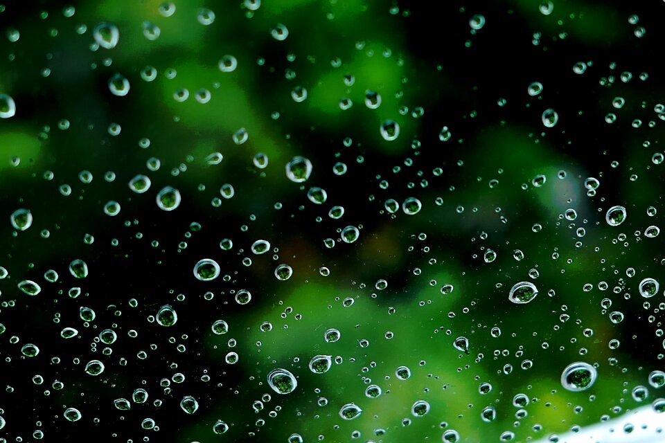 Wet close up macro