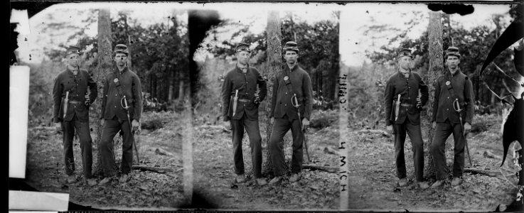 Musician F.R. Barnes, Co. F 4th Michigan Infantry - NARA - 529624