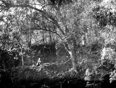 Murrester i urskogen. Kvinnan på på bilden är Olga Nordenskiöld - SMVK - 005804