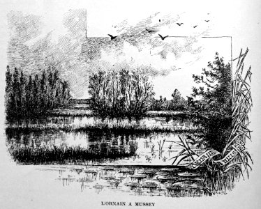 Mussey l'ornain 96272