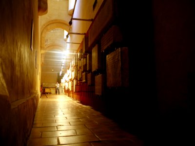Musée Augustins - Salles des écritures - 1