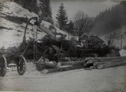Munitien für 30,5 Mörser in Jakobeny. (BildID 15452240)