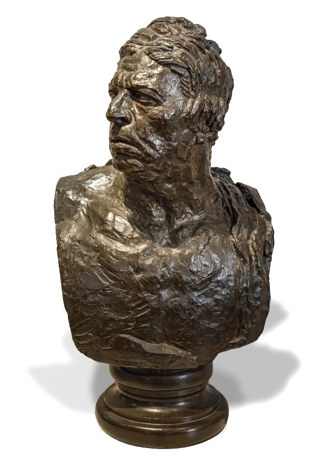 Musée Ingres-Bourdelle - Buste d'Ingres 1908 - Bronze - Bourdelle - Joconde06070001137