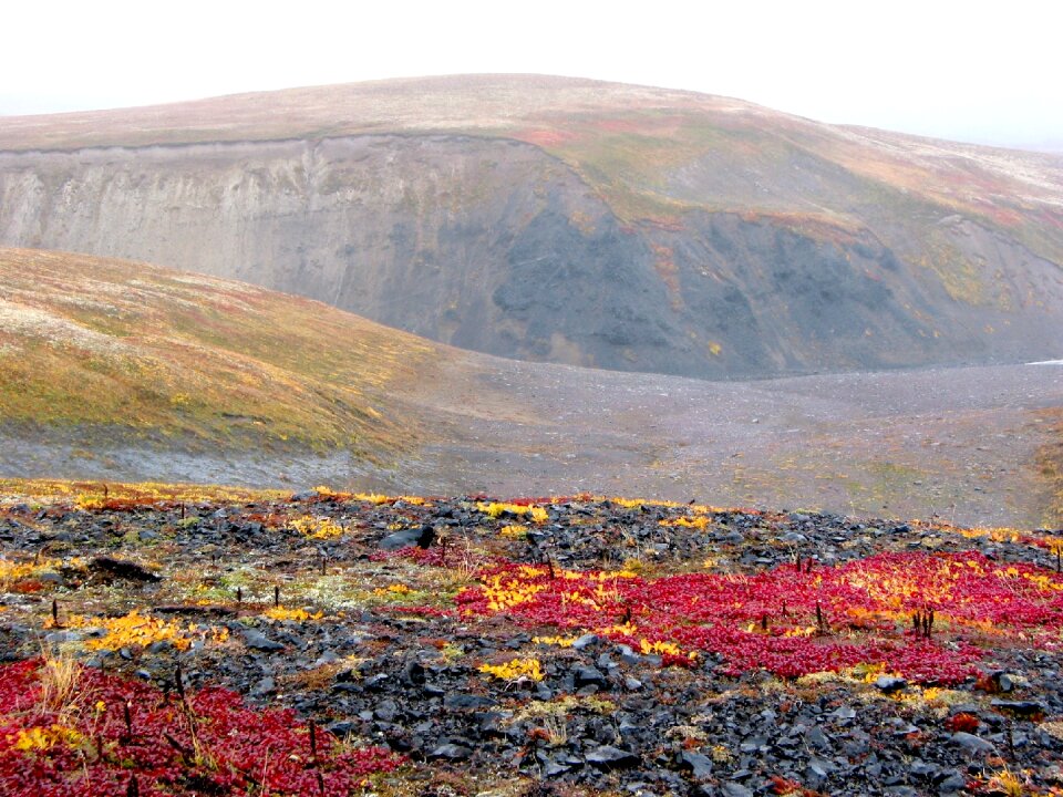The foot clouds fall colors