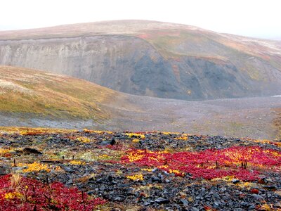 The foot clouds fall colors