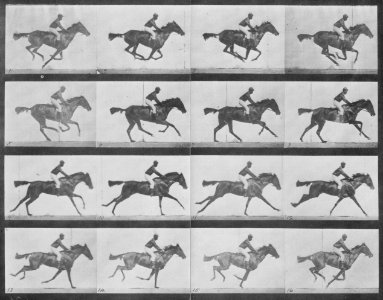 Muybridge, Eadweard - Annie G. mit Jockey (0.31 Sekunden) (Zeno Fotografie)