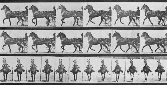 Muybridge, Eadweard - Dercum mit Sulky (0.47 Sekunden) (Zeno Fotografie)