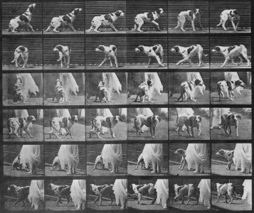 Muybridge, Eadweard - Kate dreht sich um (1.74 Sekunden) (Zeno Fotografie)