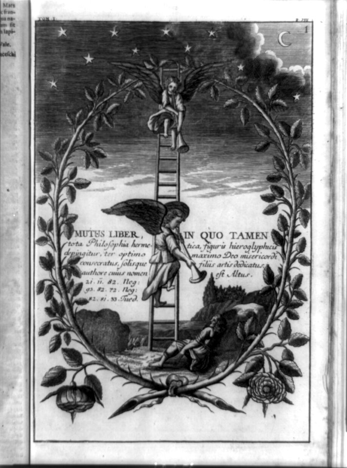 Mutus liber, in quo tamen ... LCCN92517553