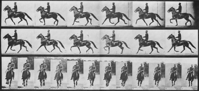 Muybridge, Eadweard - Pronto mit Reiter (0.59 Sekunden) (Zeno Fotografie)