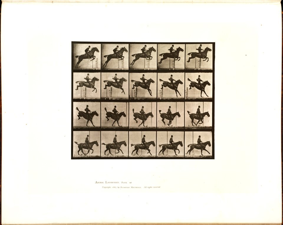 Muybridge horse jumping 2