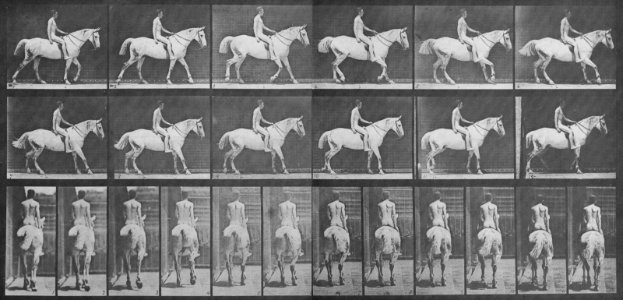 Muybridge, Eadweard - Smith mit Reiter (0.82 Sekunden) (Zeno Fotografie)