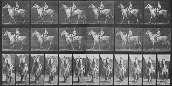 Muybridge, Eadweard - Tom mit Ritter (1.02 Sekunden) (Zeno Fotografie)