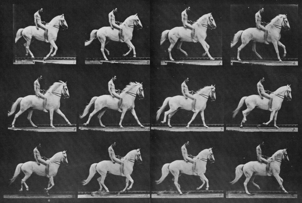 Muybridge, Eadweard - Clinton mit Reiter (0.56 Sekunden) (Zeno Fotografie)