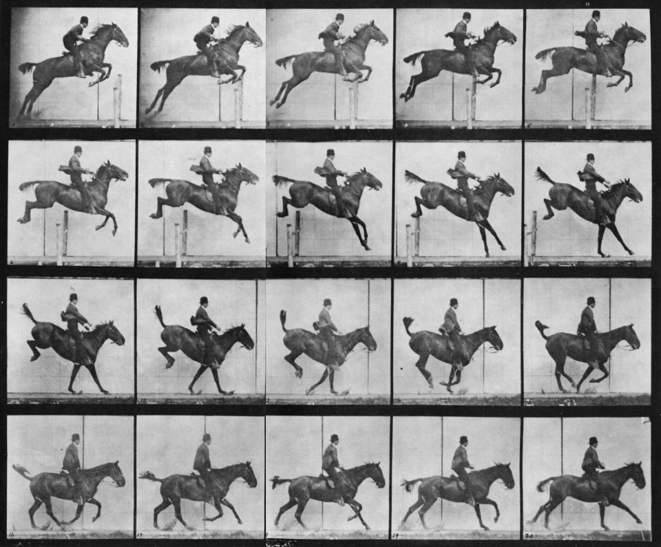 Muybridge, Eadweard - Daisy überspringt eine Hürde (2) (Zeno Fotografie)