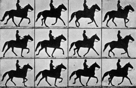 Muybridge, Eadweard - Ein Schritt nach vorn in elf Phasen (Zeno Fotografie)