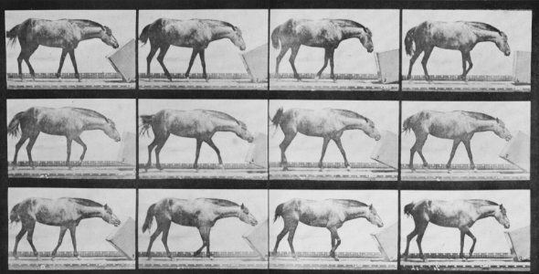 Muybridge, Eadweard - Lotta rollt eine Schachtel (Zeno Fotografie)