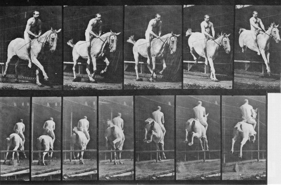 Muybridge, Eadweard - Pandora überspringt eine Hürde (1.20 Sekunden) (Zeno Fotografie)