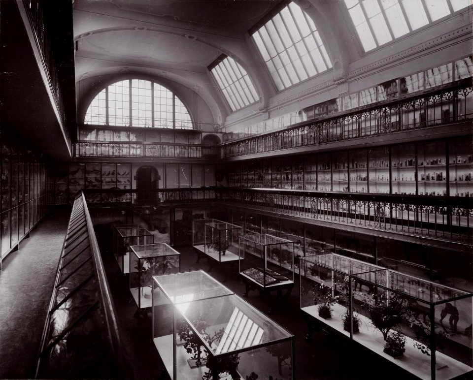 Muzeum zoologiczne we Wrocławiu (hala wystawowa)
