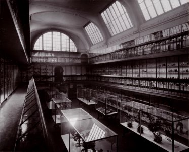 Muzeum zoologiczne we Wrocławiu (hala wystawowa)