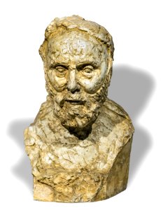 Musée Ingres-Bourdelle - Buste du père de Bourdelle - Platre - Antoine Bourdelle Joconde06070001135