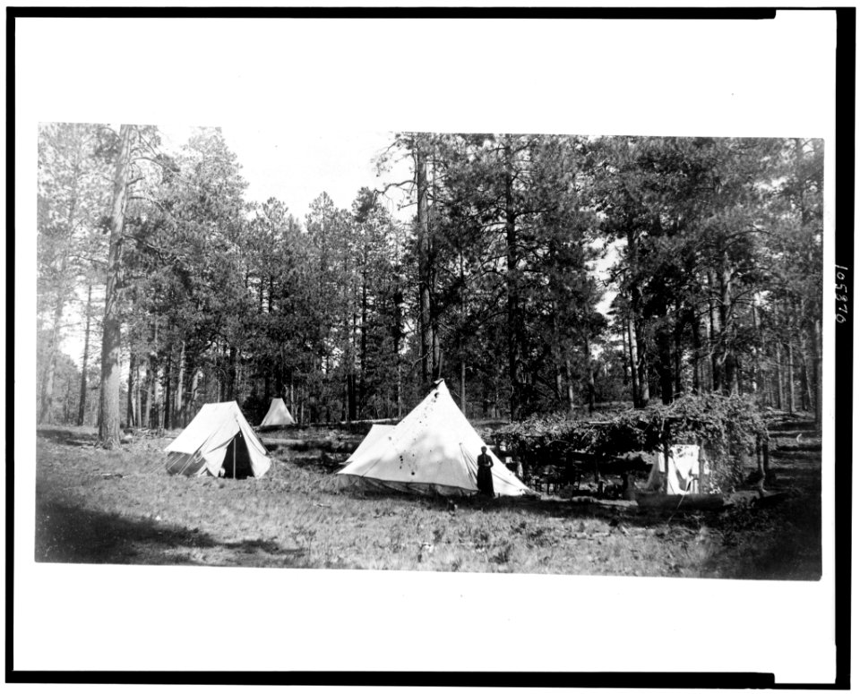 My tents. Camp at Fern Spring, near Baker's Butte, Mogollon Mountains, Arizona LCCN92513332